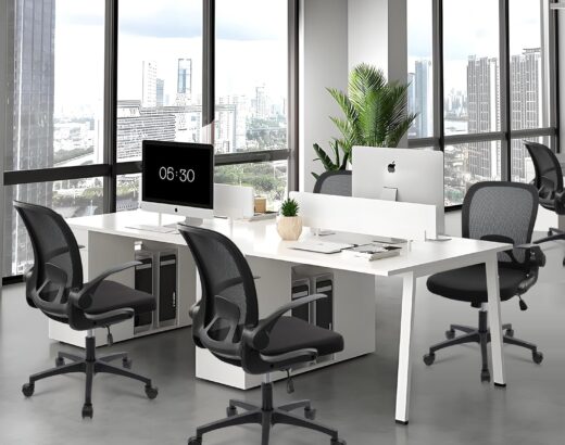 CLATINA Office Chair
